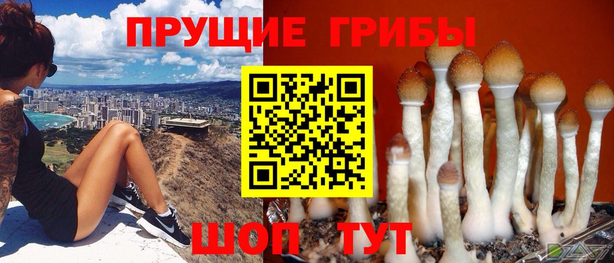 Псилоцибиновые грибы Psilocybe  Галлюциногенные грибы ЛСД  Елабуга  Вход с VPN 