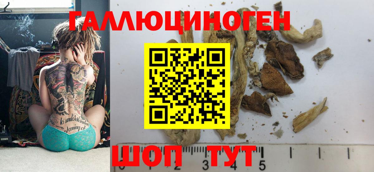 Псилоцибиновые грибы ЛСД Елабуга